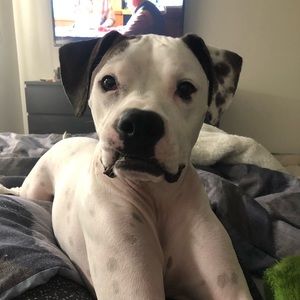 Meet your Posher, Catherine